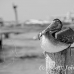 pelican_brown_im_h_0148_mex0378_bw.jpg